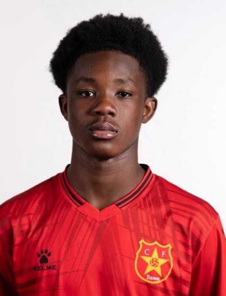 法甲
